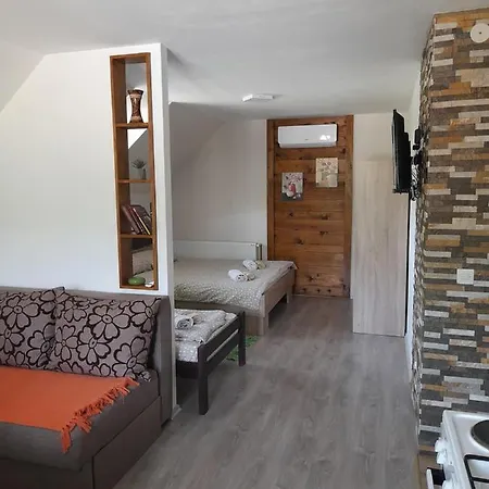 Petar Apartment Mokra Gora