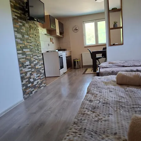 Apartment Petar
